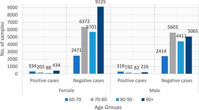 Breaking barriers: a statistical and machine learning-based hybrid system for predicting dementia